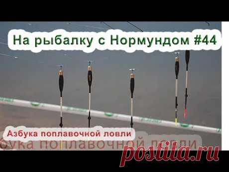 Азбука поплавочной ловли : На рыбалку с Нормундом #44