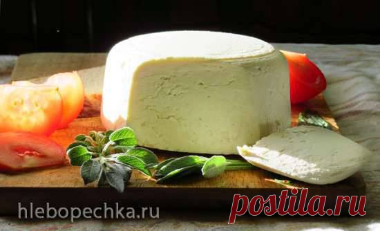 Еще 2 варианта домашнего сыра - ХЛЕБОПЕЧКА.РУ 
Ингредиенты:
молоко - 2л
сметана 20%- 250г
соль - 9г
хлористый кальций 10% - 2 ампулы (каждая ампула по 10 мл).
фермент meito - на кончике ножа
или лимонная кислота (лимонный сок) - 1/4-1/3 ч.л. (сок 2 лимонов)
