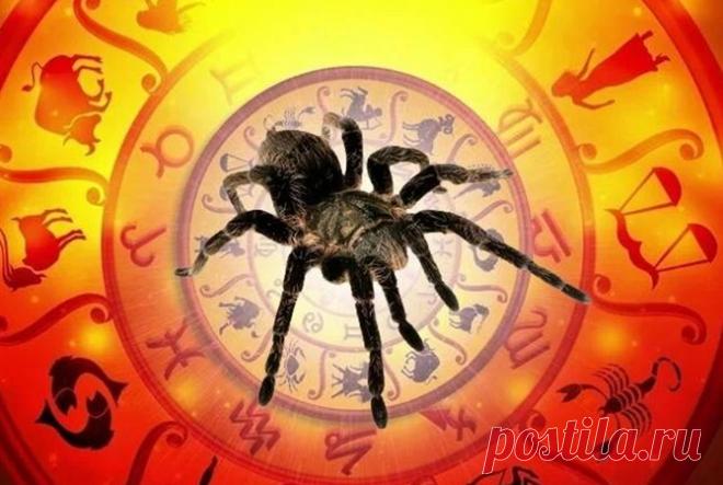 Славянский гороскоп на 2020 год: что нам приготовил Прядущий Мизгирь В день весеннего равноденствия Парящего Орла сменит на посту паук.