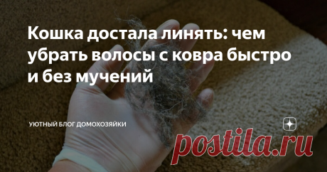 Кошка достала линять: чем убрать волосы с ковра быстро и без мучений Сколько себя помню, я всю жизнь мечтала о кошке, и вот муж подарил мне пушистый комочек, который оказался персом и вскоре вырос в огромный линяющий шар. Радость от обладания котом постепенно утихала: лохматое чудовище, подрастая, начало оставлять шерсть по всему дому: мы натыкались на нее везде - на мягкой мебели и ковре, по углам, и даже в тарелке с ужином... Методом проб и ошибок я нашла