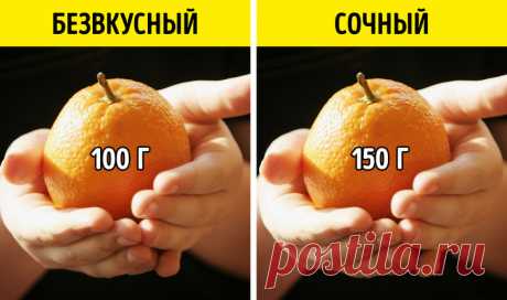 10 вещей, которым вы можете научиться за 10 минут, которые будут полезны всю жизнь