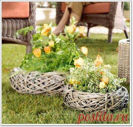 Идеи для дачи.