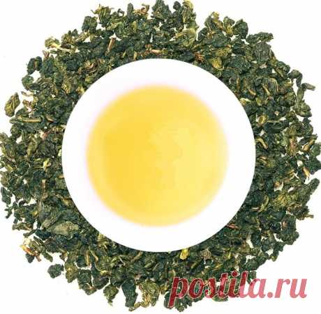 Какой чай полезнее - черный или зеленый?.