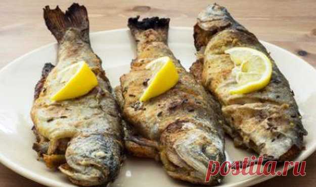 Скумбрия. Рецепты
- Скумбрия с овощами
- Фаршированная скумбрия в духовке
- Скумбрия в духовке, запеченная в банке
- Скумбрия в лимонном соусе
- Паста со скумбрией и томатным соусом
- Маринуем скумбрию самостоятельно
- Скумбрия вареная с соусом из крыжовника