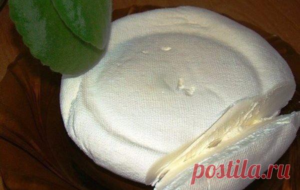 Домашний сыр маскарпоне из сметанки, очень вкусный. Такое вы еще не пробовали! — Полезные советы