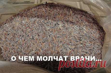 Высокое давление придет в норму, исчезнут запоры, боли в желудке и мочевом пузыре, пройдет недержание мочи и кала, если в заварочный чайник насыпать столовую ложку с горкой семян укропа и залить их пол-литрами кипятка. Накрыть чайничек салфеткой или укутать полотенцем на 40 минут, чтобы семена хорошо запарились и отдали все ценные вещества в воду.
Полученное лекарство нужно пить прямо из носика чайника по 3 глотка часто – не меньше семи раз в день, а лучше 10. Обязательно пить во время еды, не н