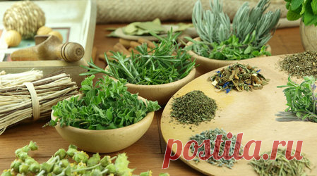 Народная медицина