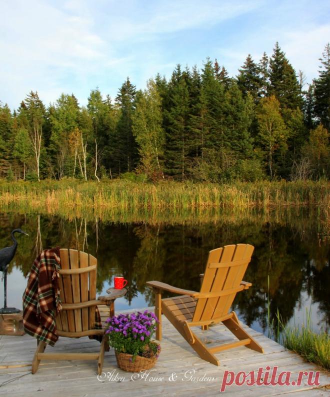 ДРУЗЬЯ, ПРИГЛАШАЮ ВАС НА МОЙ ДЕНЬ РОЖДЕНИЯ! - КРАСИВЫЕ КАРТИНКИ. ВИДЕО. МИР, В КОТОРОМ МЫ ЖИВЕМ! - Группы Мой Мир