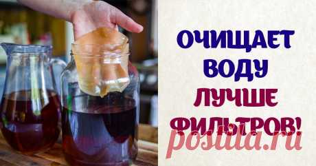 Настоящее сокровище.