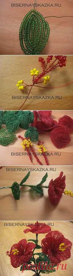 (14) Одноклассники