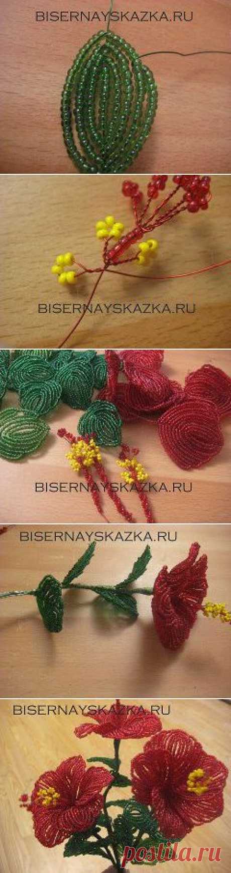 (14) Одноклассники