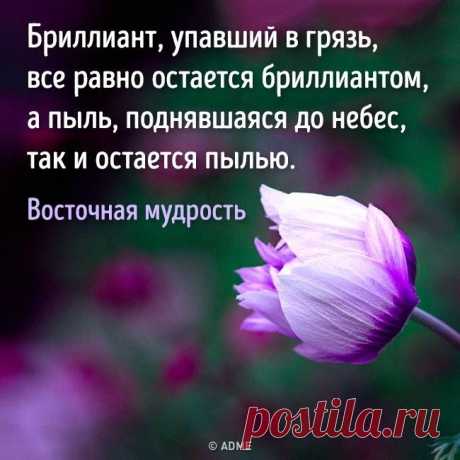 AdMe.ru