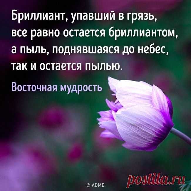 AdMe.ru