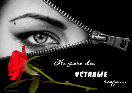 11109803.gif (500×353)