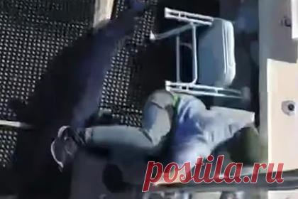 Самая быстрая акула в мире запрыгнула на палубу яхты и попала на видео. У берегов штата Массачусетс в США акула выпрыгнула из воды и приземлилась на рыбаков, находившихся на палубе яхты. Рыбаки на борту чартерной яхты компании Sea Ventures наблюдали за акулой-мако, которая считается самой быстрой акулой в мире и может развивать скорость до 74 километров в час.