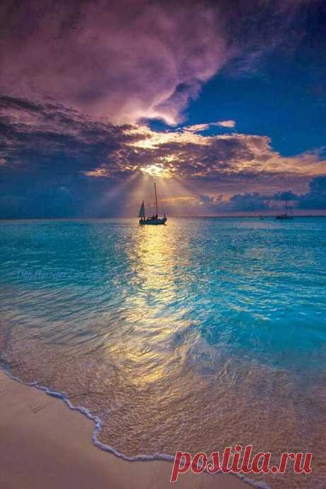 The beauty of the sea | Shining world