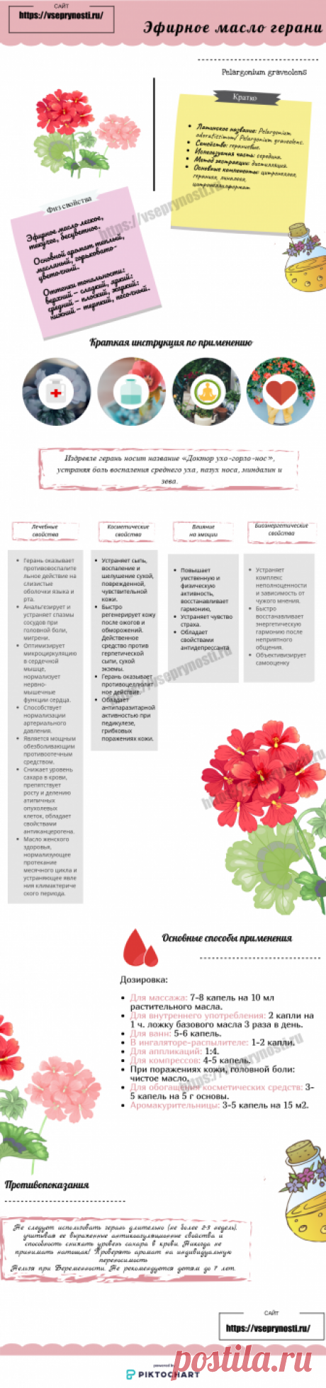 Эфирное масло герани - полезные свойства и применение