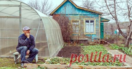 Теплица на садовом участке Портал о ландшафтном дизайне - обзор лучших дизайнерских идей и секретов по уходу за садом и дачей
