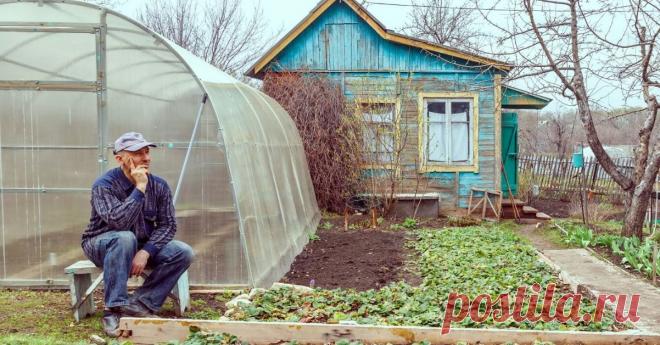 Теплица на садовом участке Портал о ландшафтном дизайне - обзор лучших дизайнерских идей и секретов по уходу за садом и дачей