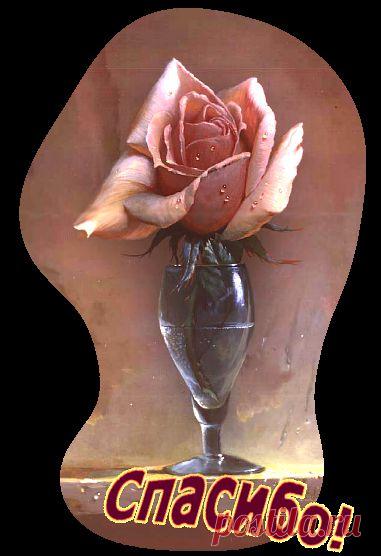 КАК ЛЕГКО ОТМЫТЬ ФИЛЬТР КУХОННОЙ ВЫТЯЖКИ.