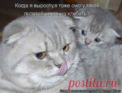 (2) Одноклассники