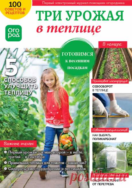 Три урожая в Теплице - Журнал Огород.ru - Форум для дачников | Огород.ru
