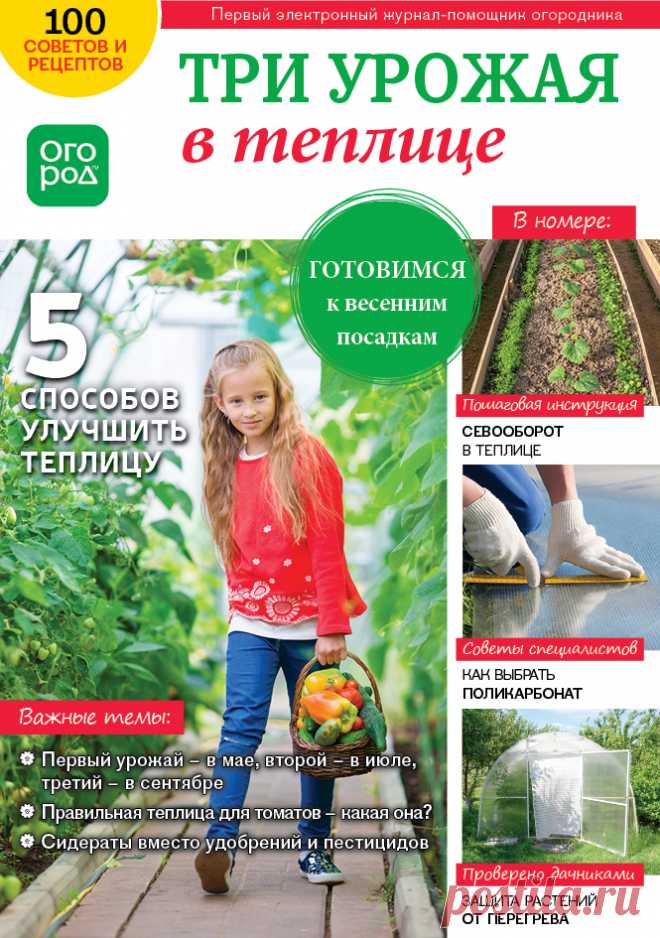 Три урожая в Теплице - Журнал Огород.ru - Форум для дачников | Огород.ru