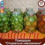 Просто волшебные помидорки 