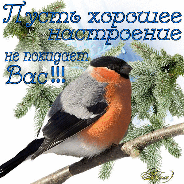 • ДЛЯ МОИХ ДРУЗЕЙ!!! - Группы Мой Мир