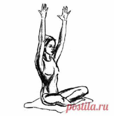 Боли в спине? Начните прямо сейчас выполнять упражнения. — Всегда в форме!
