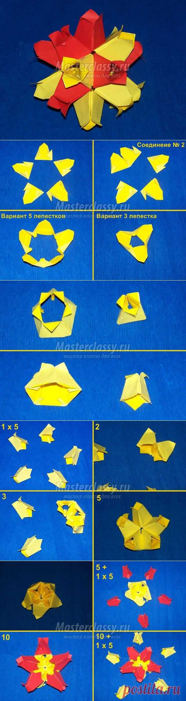 Кусудама из тюльпанов. Мастер-класс с пошаговыми фото &raquo; Master classy - мастер классы для вас