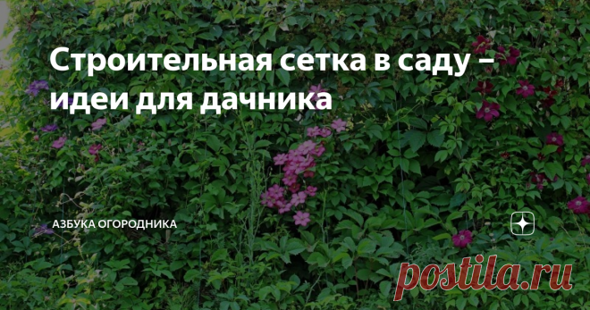 Строительная сетка в саду – идеи для дачника Строительная сетка в саду может быть применена не только как вспомогательный материал для возведения крупных построек. В зависимости от состояния и свойств основы она может стать средством для поддержки растений или органичным дополнением ландшафта, если правильно воспользоваться преимуществами ее конструкции.