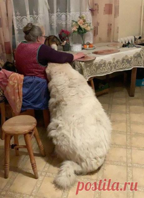 55 вещей, которые оказались феноменально большими. Таких единицы на весь мир!