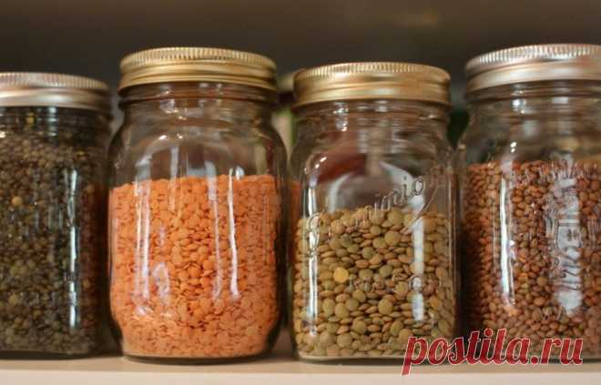 Как спасти продукты от пищевой моли: 6 советов Как защитить свои запасы от пищевой моли? В новом обзоре делимся советами, которые не оставят вредителям никаких шансов. Предупредить проблему гораздо проще, чем устранять последствия.