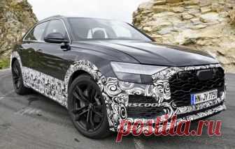 На данный момент официальной информации о силовой установке Audi RS Q8 2020 нет, однако зарубежные автомобильные издания сообщают, что автомобиль будет оснащаться той же битурбированной «восьмёркой» объёмом в четыре литра, что и Lamborghini Urus и Porsche Cayenne Turbo, поскольку все эти автомобили построены на базе общей платформы Volkswagen MLB Evo.