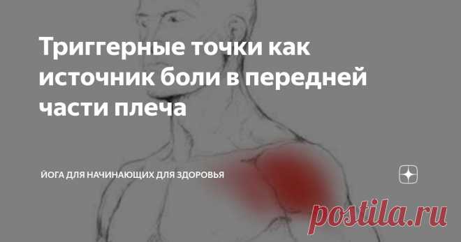 Триггерные точки как источник боли в передней части плеча Статья автора «Йога для начинающих для здоровья» в Дзене ✍:     Триггерные точки, формирующиеся в мышцах плечевого пояса, нередко являются причиной дискомфорта, варьирующегося от легкой болезненности