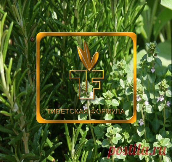 Знаете что, я хотела поблагодарить Андрея Андреевича, что помогает людям. Я уже 7 лет не видела свой сахар ниже 11, а сегодня оно у меня 6,1. Что только я не делала, в чем отказывала себе... то не кушай, это нельзя.... Это благодаря вашим наставлениям и препаратам Андрей Андреевич я добилась этого. Низкий поклон вам !!!

http://skutonov.tfd.com.ua