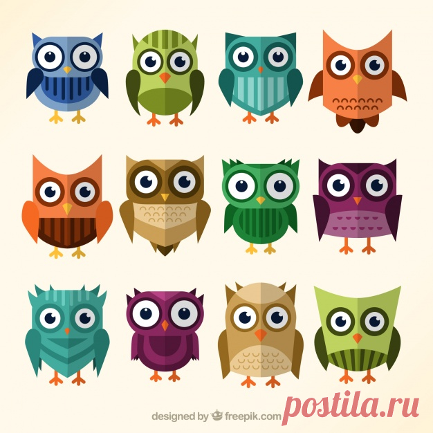 Коллекция красочных сов в плоском дизайне Более миллиона свободных векторов, PSD, фотографии и бесплатные иконки. Эксклюзивные халявы и все графические ресурсы, которые необходимые для ваших проектов