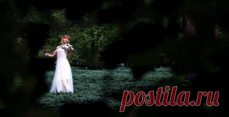 Мифы и легенды о цветах: Нарцисс ~ Planetalsad