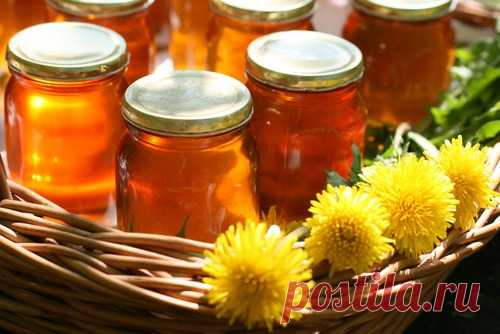 Рецепты приготовления варенья из цветов одуванчика - Садоводка