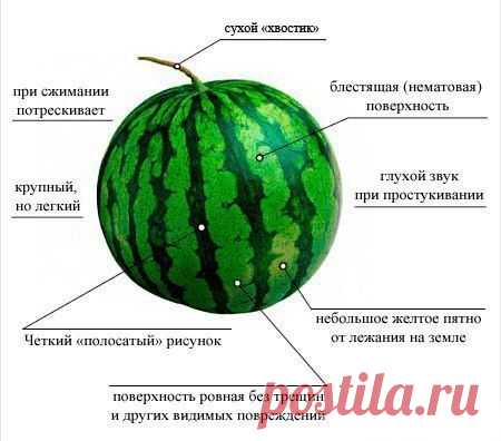 5 полезных советов