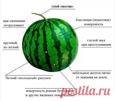 5 полезных советов