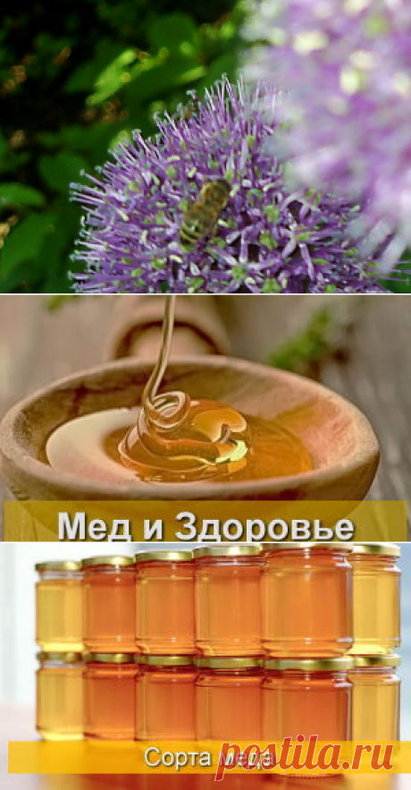 Химический состав и физические свойства цветочного меда - БиоКорова