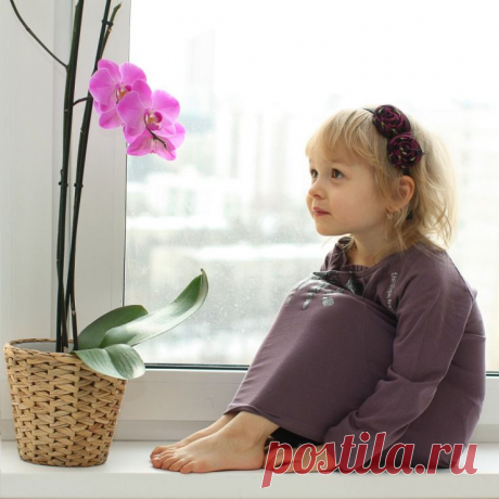 Gallery.ru / Фото #3 - моя дочь Ариша (от 3 лет) - shellchik