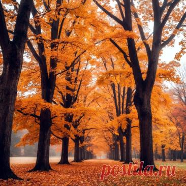Смысл осени (Анна Соболь) / Стихи.ру