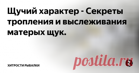 Щучий характер - Секреты тропления и выслеживания матерых щук.  Что должен знать рыболов о щучьих повадках и о щуке вообще? Ну, во-первых, нужно запомнить, что щука – это ярко выраженный индивидуалист. Она начинает вести обособленный образ жизни еще будучи мальком. Достигая определенного возраста, зубастая особа занимает свое конкретное место в водоеме и приступает к освоению территории.
Естественным укрытием для щук служат или травянистая растительность, или