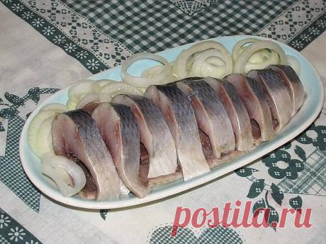 Ой какая вкуснятина получается… Больше никогда не покупаю магазинную соленую селедку!
Скажу вам более… этот рецепт великолепно подходит для засолки скумбрии и любой красной рыбы,попробуйте,не пожалеете!!!

Ингредиенты
- сельдь – 1 кг;
- поваренная соль – 6 стол. ложки без горки;
- перец душистый горошком – 10 шт.;
- сахарный песок – 3 стол. ложки;
- лавровый лист – 3-4 шт.;
- вода – 1 литр.

Приготовление
1. Наливаем в кастрюлю воду и доводим ее до кипения.
2. Добавляем к ...