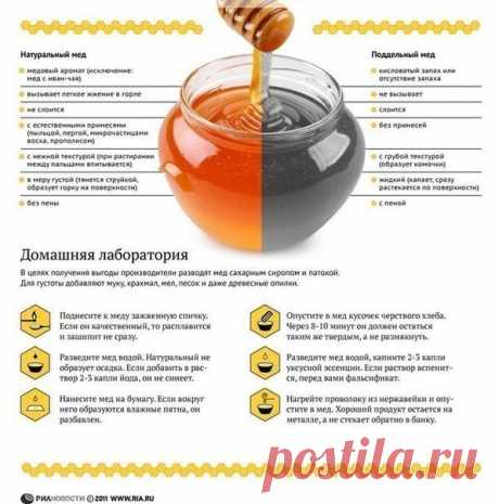 Как правильно выбирать мед