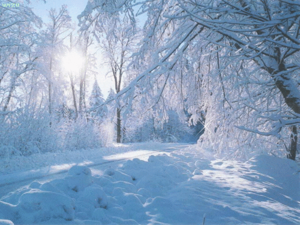 Надежда Травина – Google+