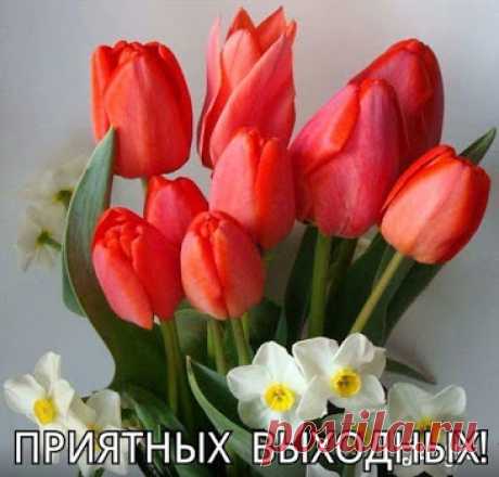 Лучшие открытки на Вконтакте и Мой Мир, отправленные за последние 24 часа из 3D галереи